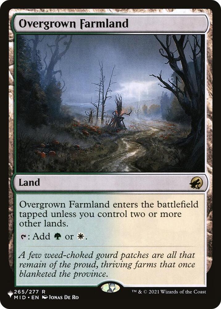 Overgrown Farmland - Land
