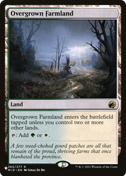 Overgrown Farmland - Land