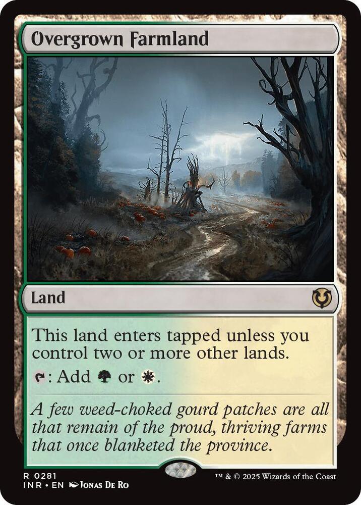 Overgrown Farmland - Land