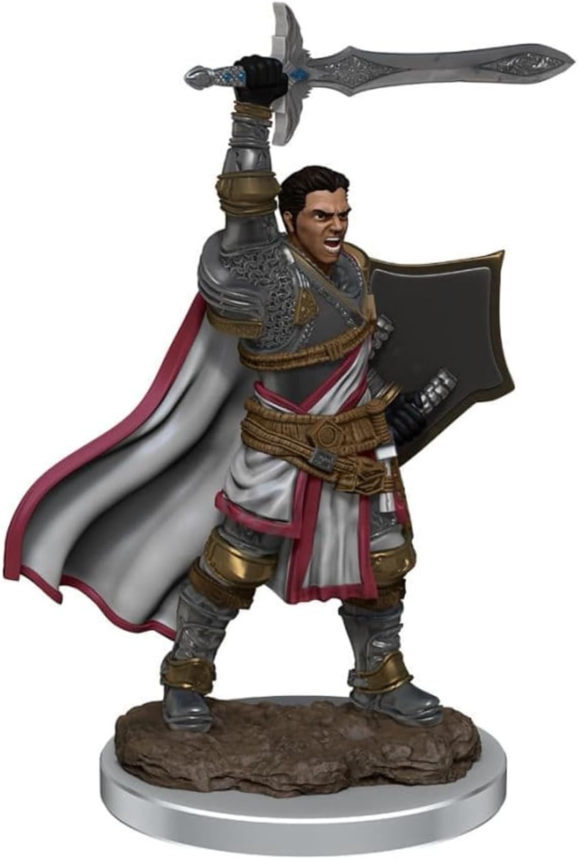 Male Human Paladin