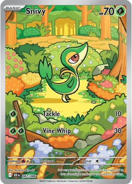 Snivy - Grass