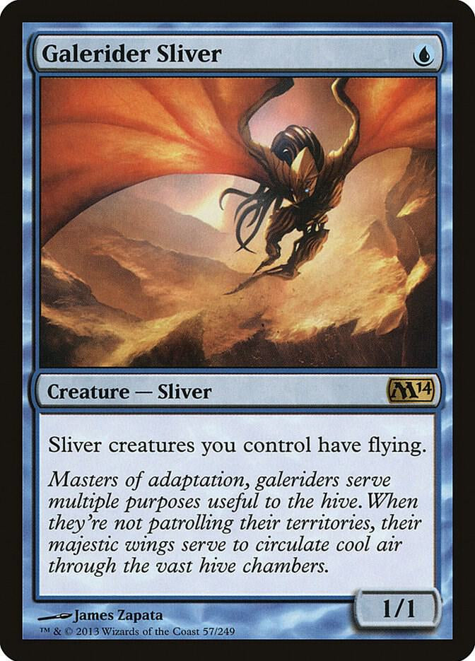 Galerider Sliver - Blue