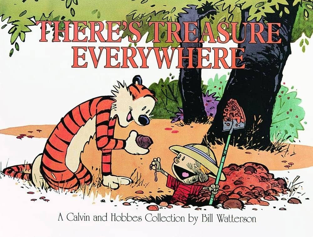 Calvin & Hobbes There's Treasure Everywhere