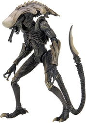 Aliens - Chrysalis Alien 7" Scale Action Figure