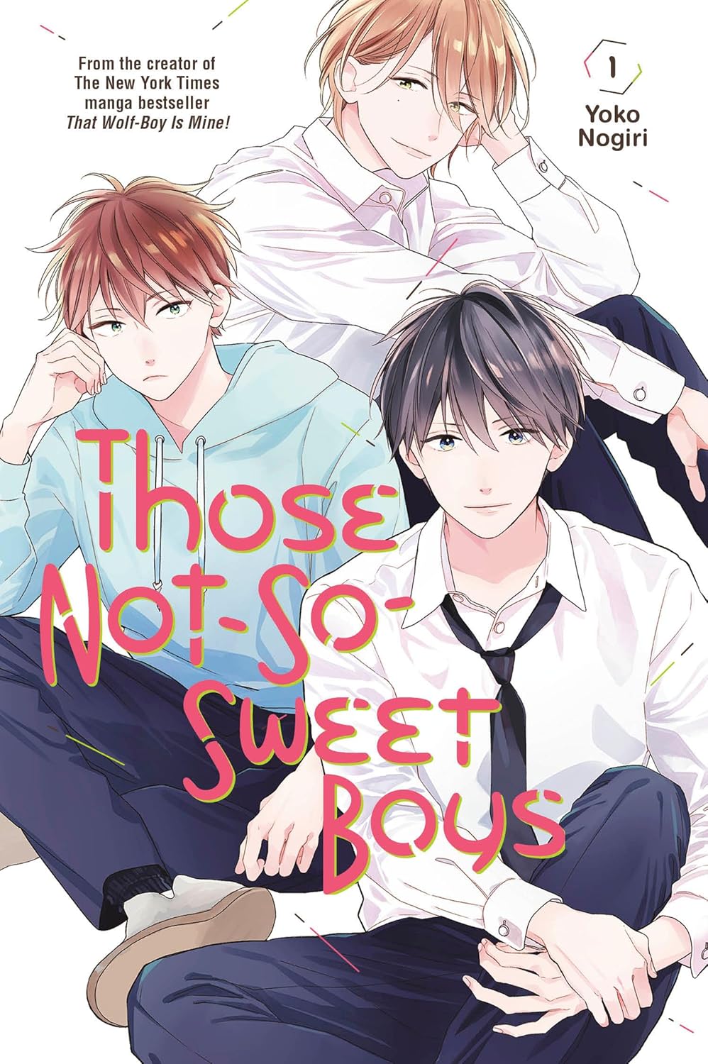 Those Not So Sweet Boys Vol 1