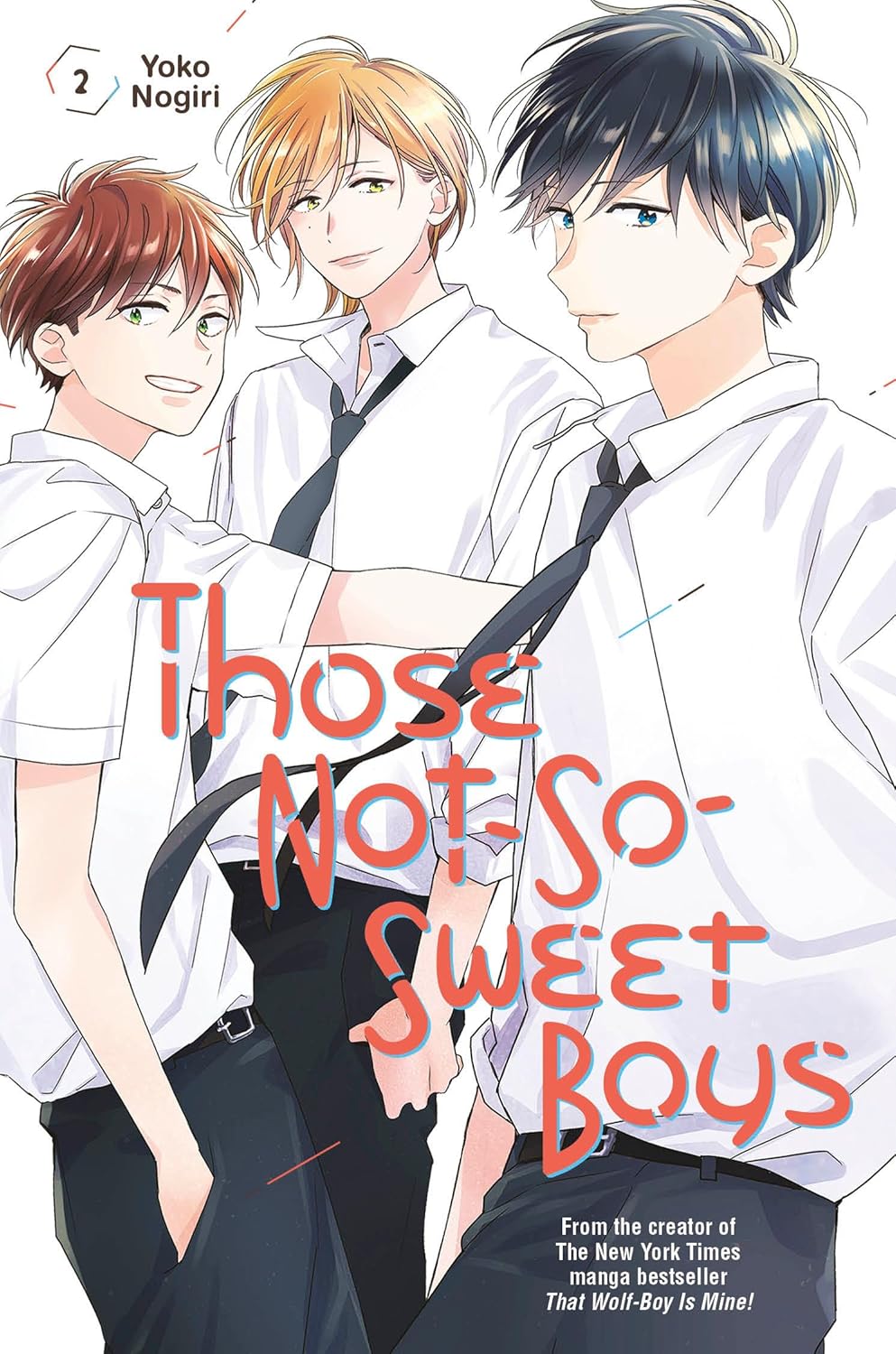 Those Not So Sweet Boys Vol 2