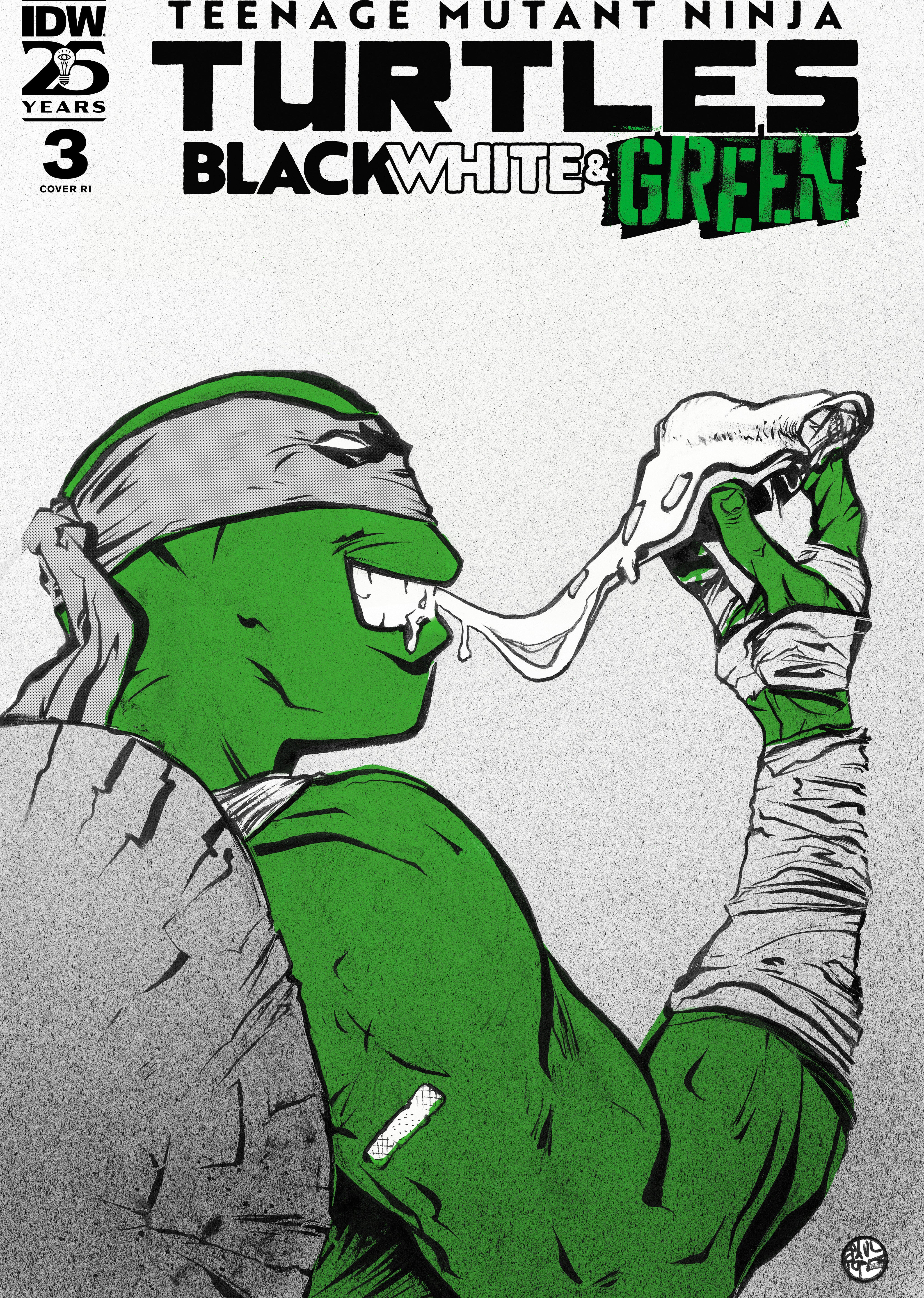 Teenage Mutant Ninja Turtles: Black, White, And Green #3 Variant 1:10 Pope Foil Variant