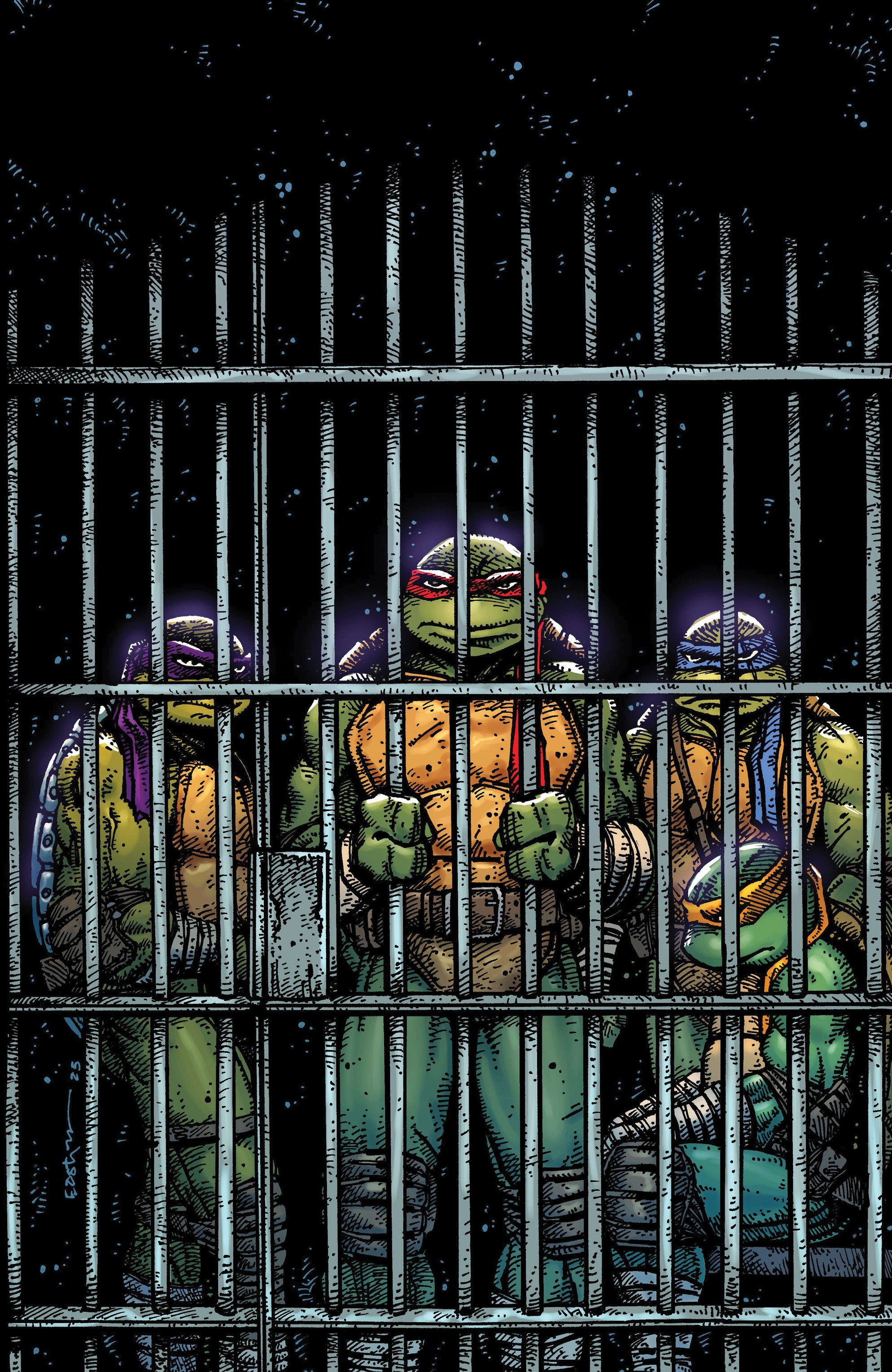 Teenage Mutant Ninja Turtles #11 1:10 Variant Ri (Eastman Full Art)