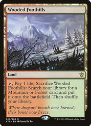 Wooded Foothills - Land