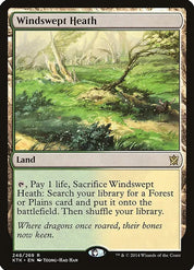 Windswept Heath - Land