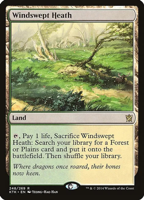 Windswept Heath - Land