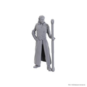 D&D Nolzur's Marvelous Miniatures: Special Edition Baldur's Gate 3 — Gale & Astarion