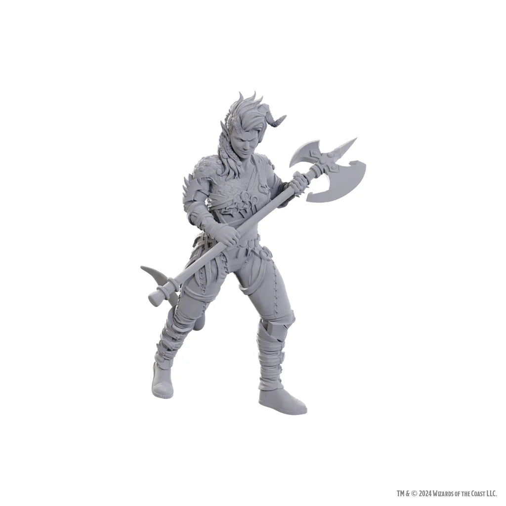 D&D Nolzur's Marvelous Miniatures: Special Edition Baldur's Gate 3 — Wyll & Karlach