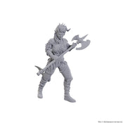 D&D Nolzur's Marvelous Miniatures: Special Edition Baldur's Gate 3 — Wyll & Karlach