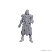 D&D Nolzur's Marvelous Miniatures: Special Edition Baldur's Gate 3 — Jaheira & Halsin
