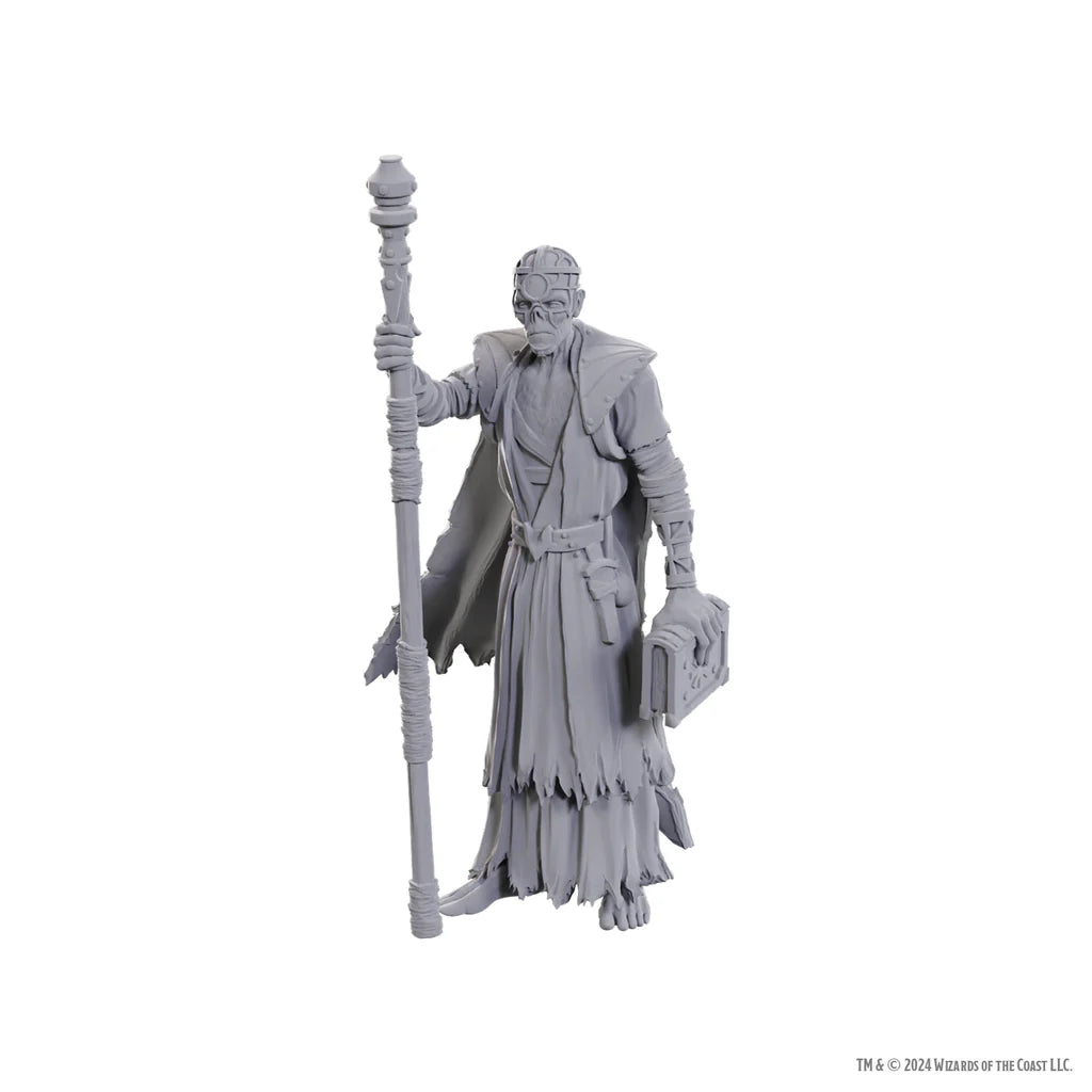 D&D Nolzur's Marvelous Miniatures: Special Edition Baldur's Gate 3 — Volo & Withers