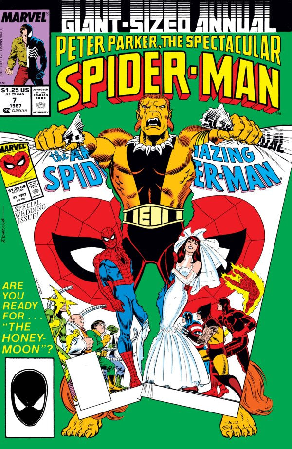 Spectacular Spider-Man (1976) 201-263