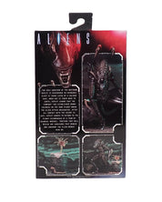 Aliens Ultimate Edition (Brown) - NECA Figure [Pre-Owned]
