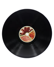 Aphex Twin – Selected Ambient Works Volume II - Vinyl