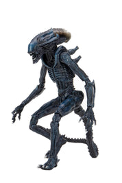 Aliens - Arachnoid Alien 7" Scale Action Figure