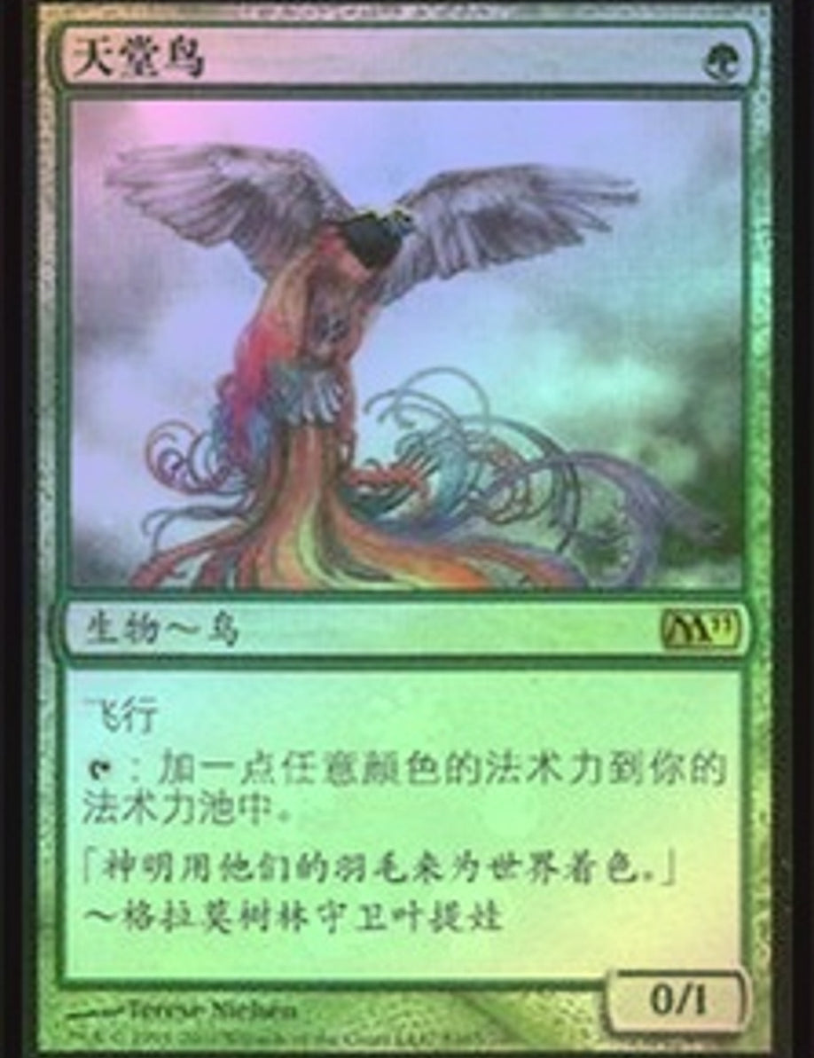BirdsOfParadise__89388.jpg