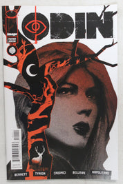 If Destruction Be Our Lot #1 / Odin #1 Preview Ashcan Promo