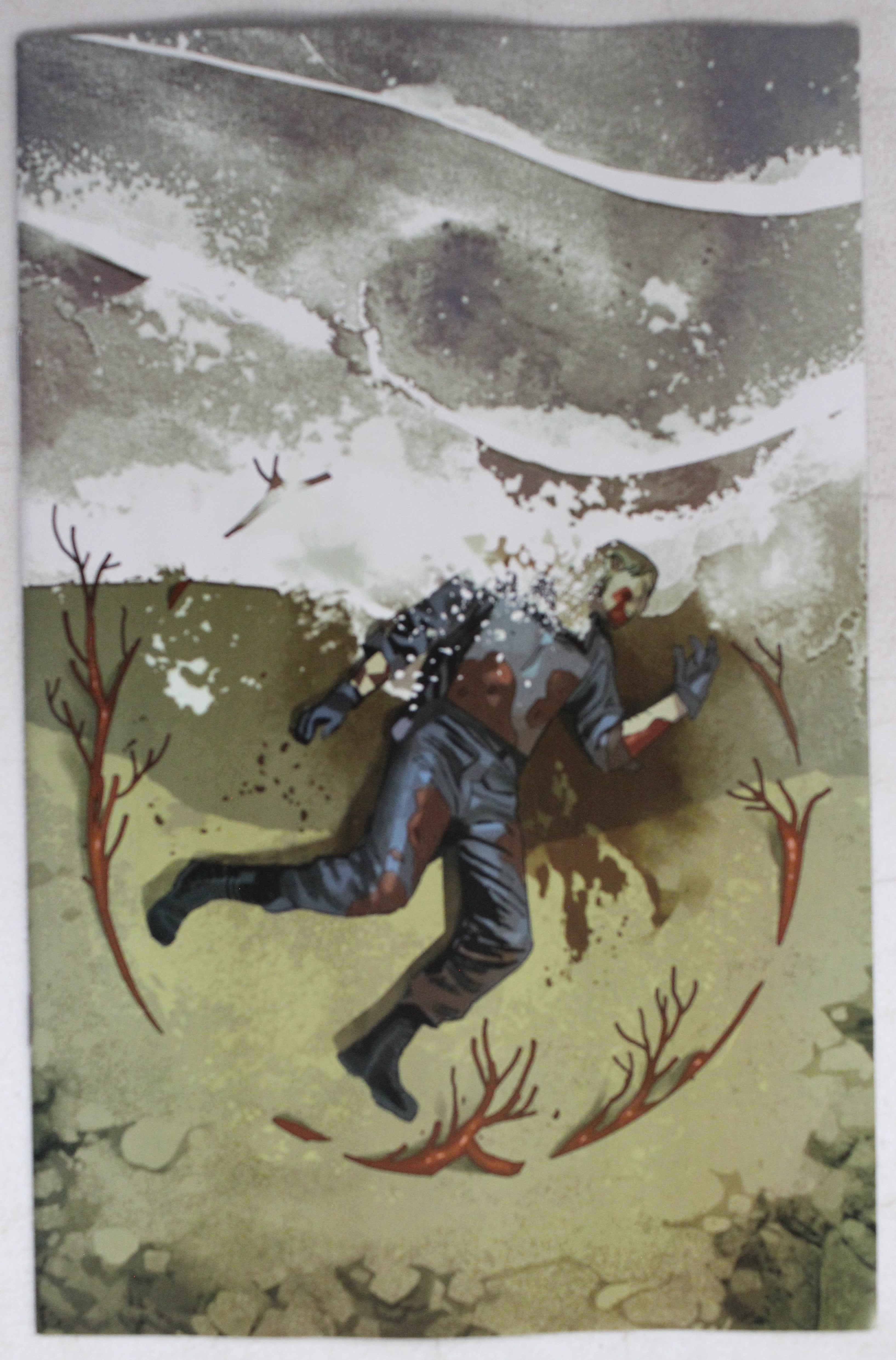 Red Roots #2 Cover D Thank You Variant (VF/NM)