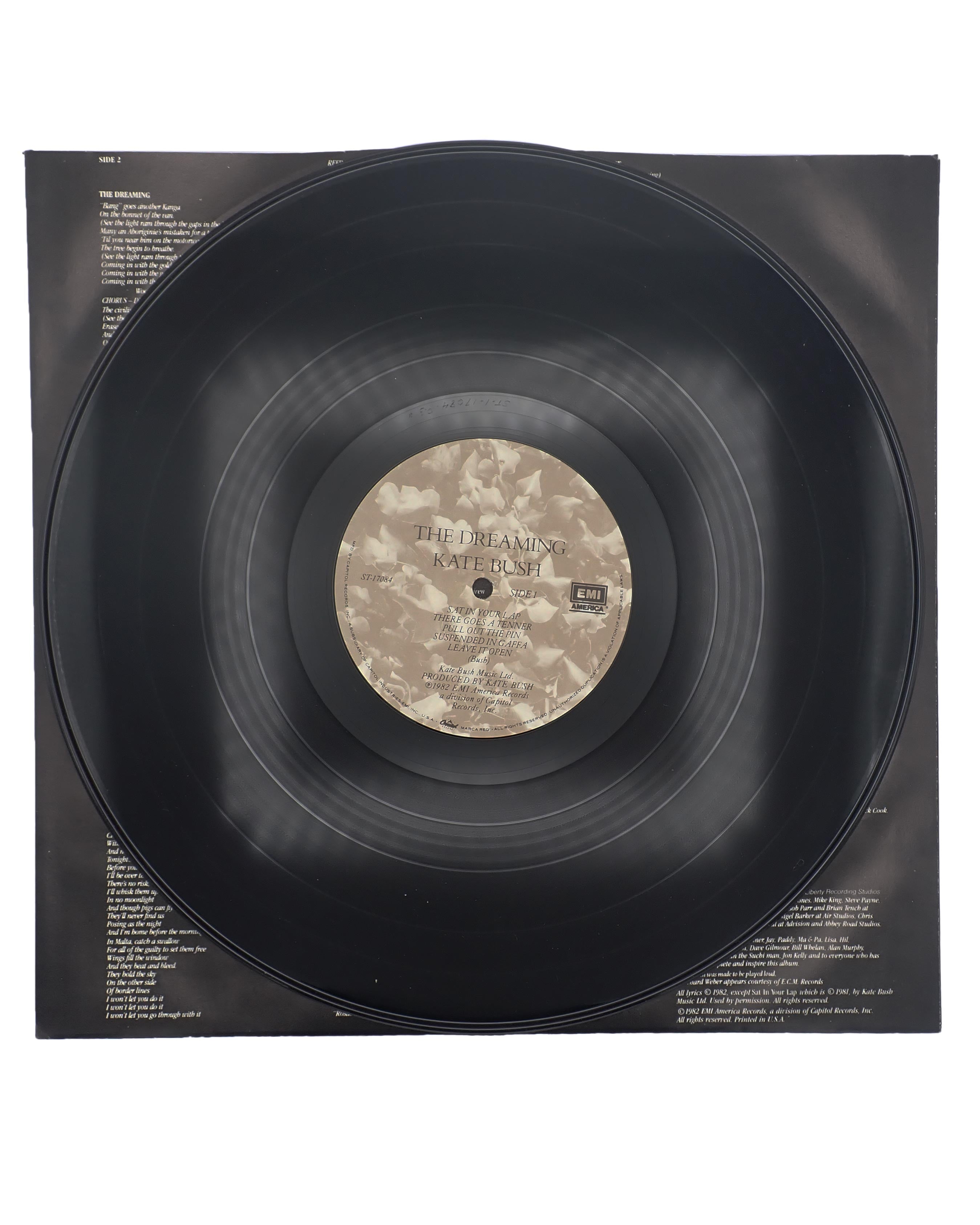 KateBush_TheDreaming-Vinyl3.jpg