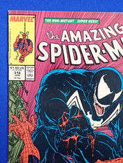 Amazing Spider-Man #316 (1989) - VG/FN (5.0)
