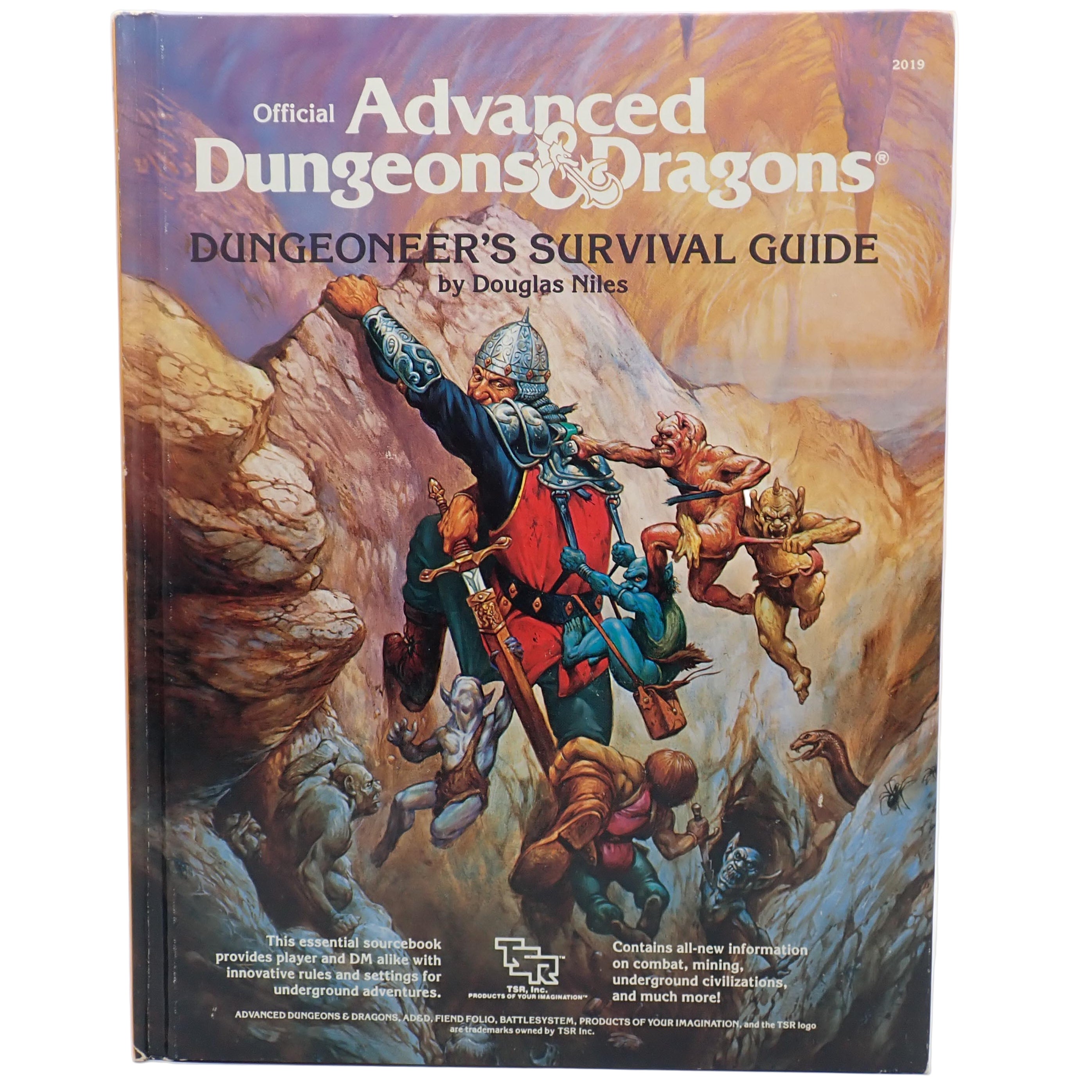 Dungeoneer's Survival Guide - AD&D [Pre-Owned]