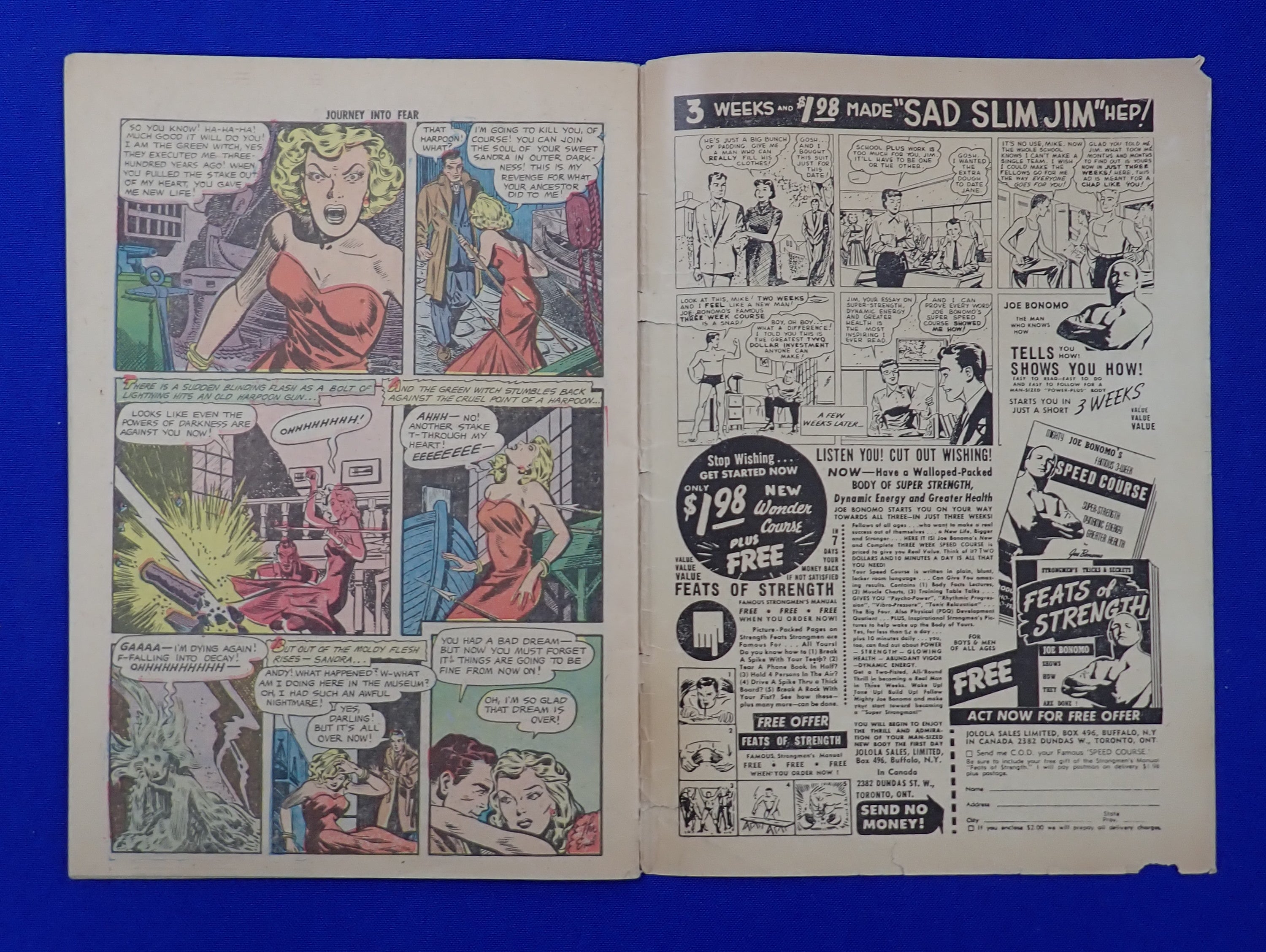 Journey into Fear #14 (1953) - G (2.5) - Precode Horror