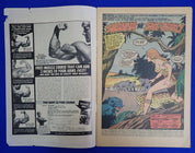 Shanna the She-Devil #1 (1972) - VG (4.0) - 1st Shanna She-Devil