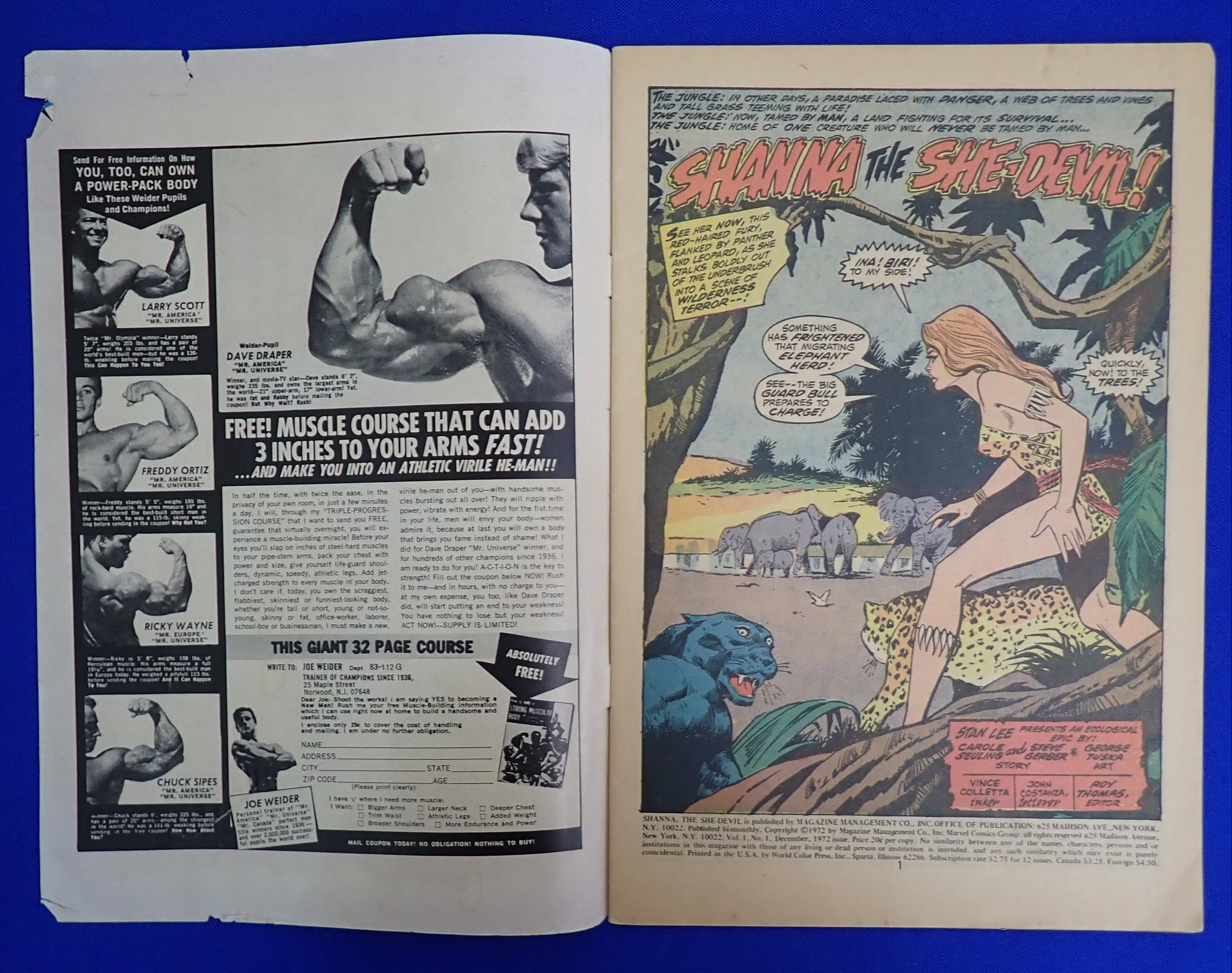 Shanna the She-Devil #1 (1972) - VG (4.0) - 1st Shanna She-Devil