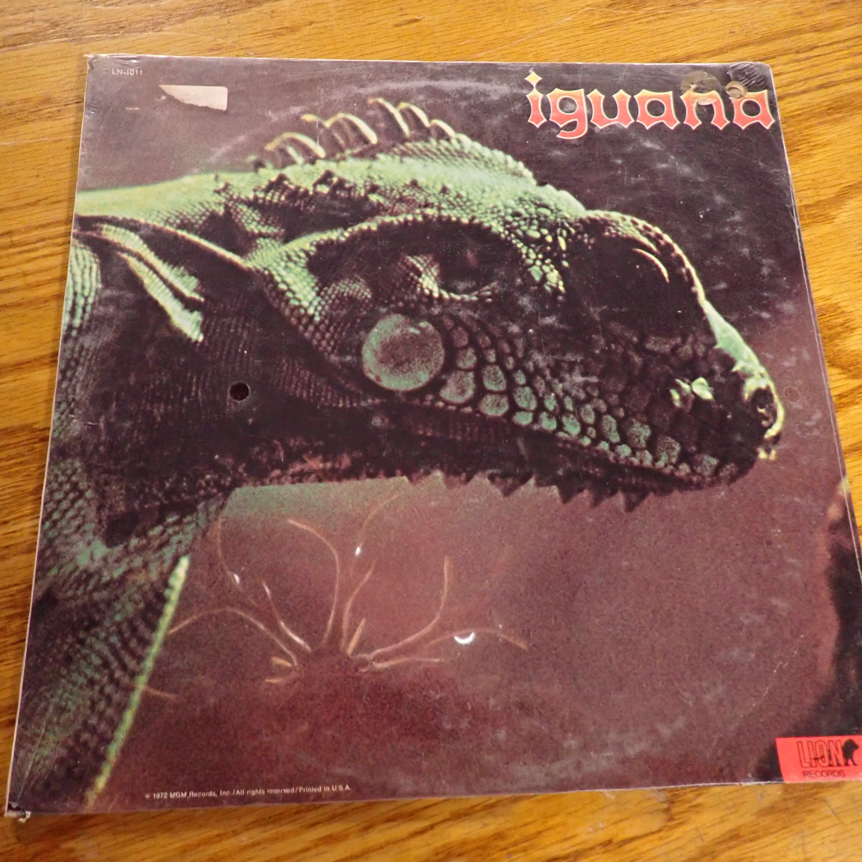 Iguana – Iguana