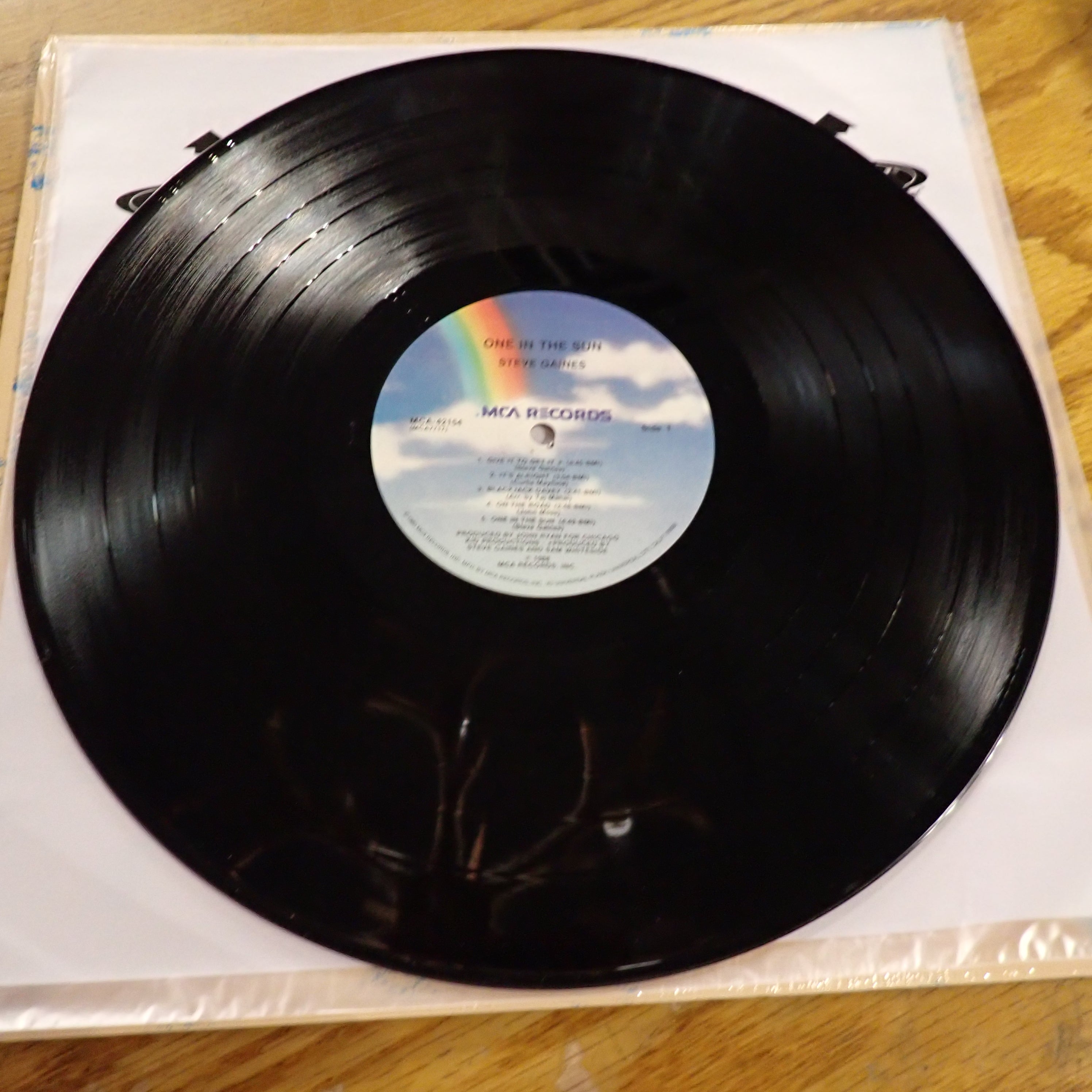 Steve Gaines – One In The Sun