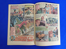 Load image into Gallery viewer, Phantom Stranger #14 (1971) -Proto Swamp Thing - VF- (7.5)
