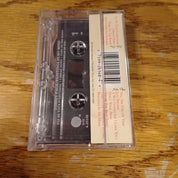 Tommy Page – Paintings In My Mind