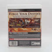 Kingdoms of Amalur: Reckoning - PS3