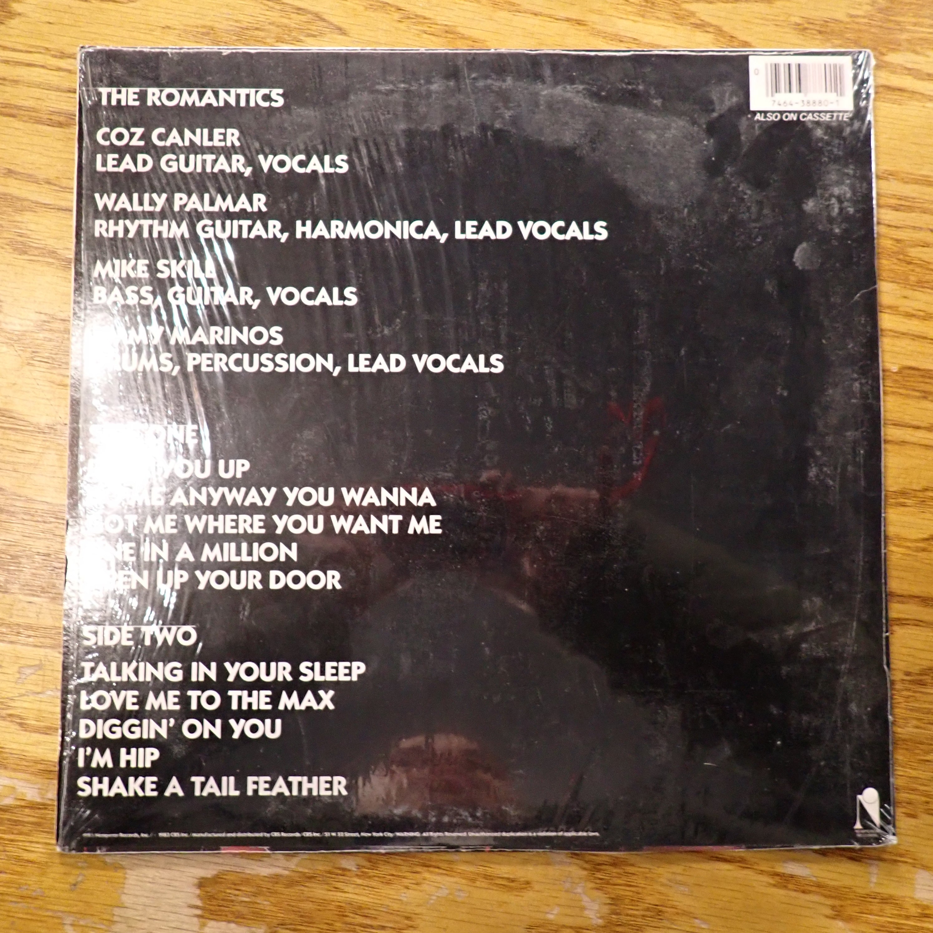 The Romantics - In Heat