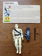 Storm Shadow v1 1984