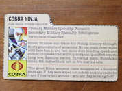 Storm Shadow v1 1984
