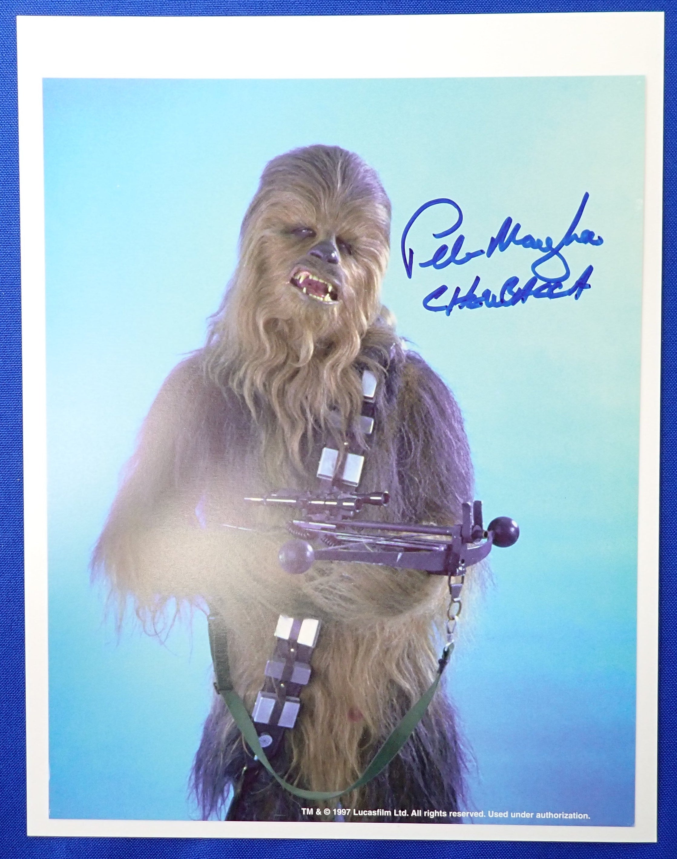 Peter Mayhew Signed Chewbacca Portrait Photo