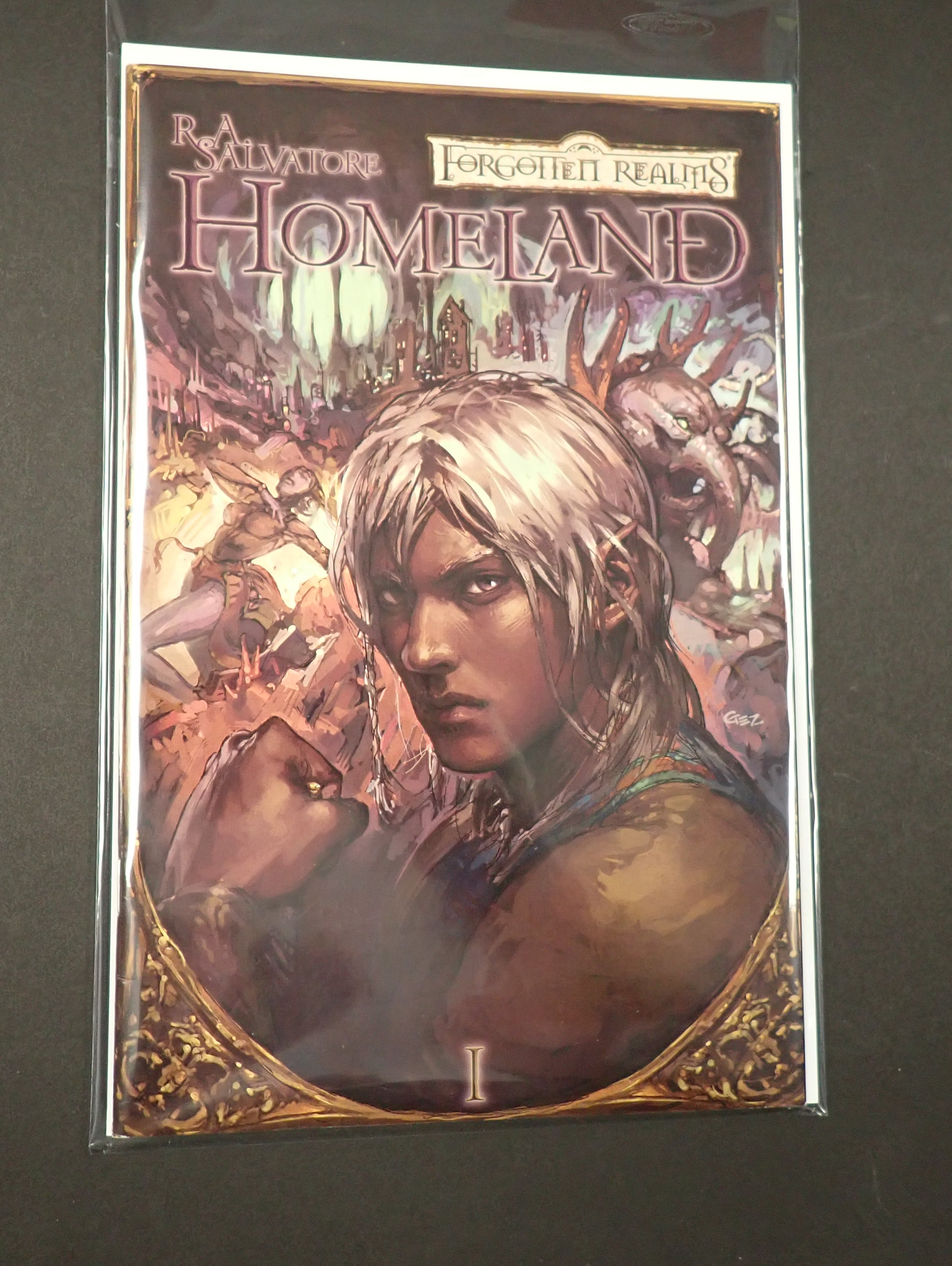 Forgotten Realms: Homeland #1 Variant Cover (2005)