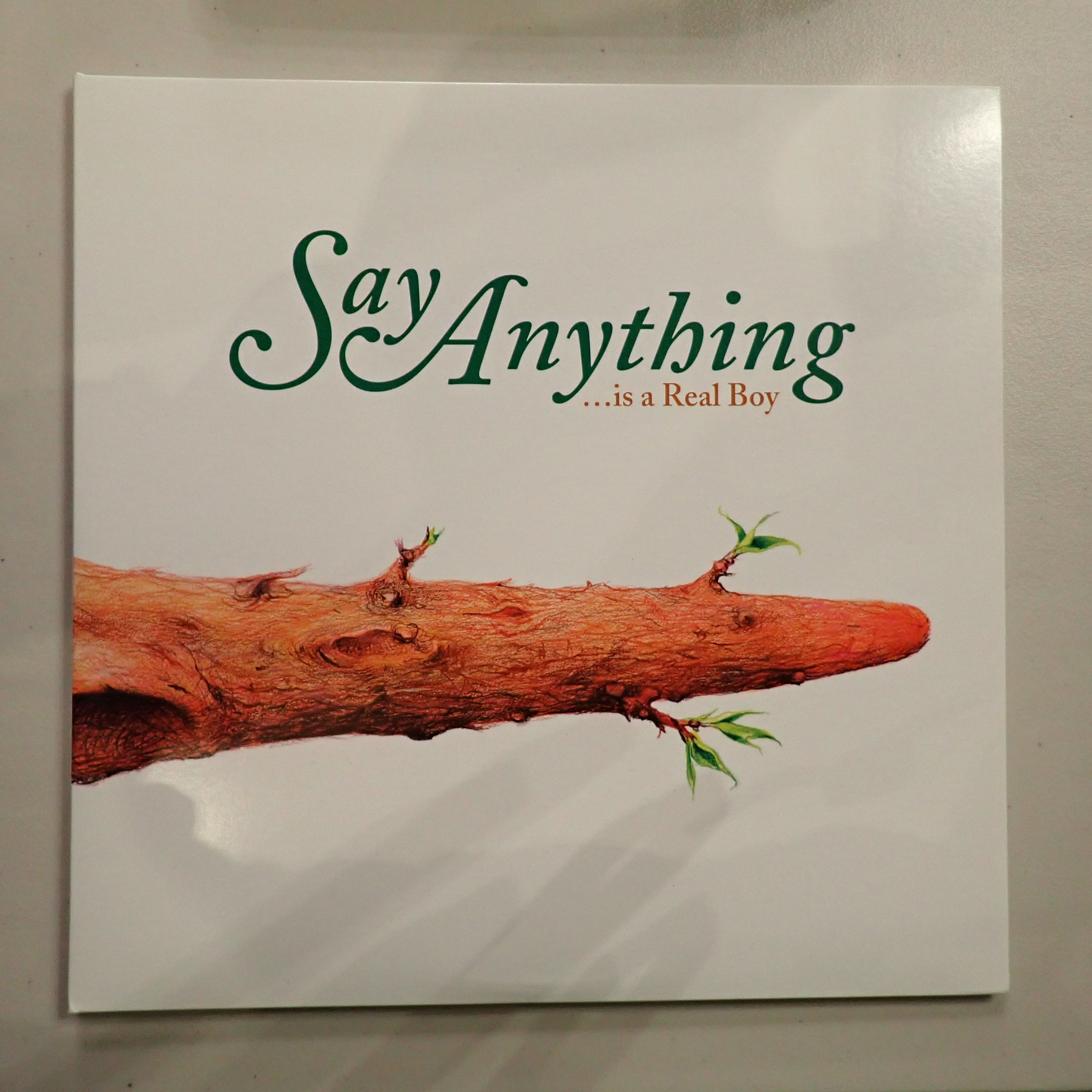 Say Anything - ...is a Real Boy
