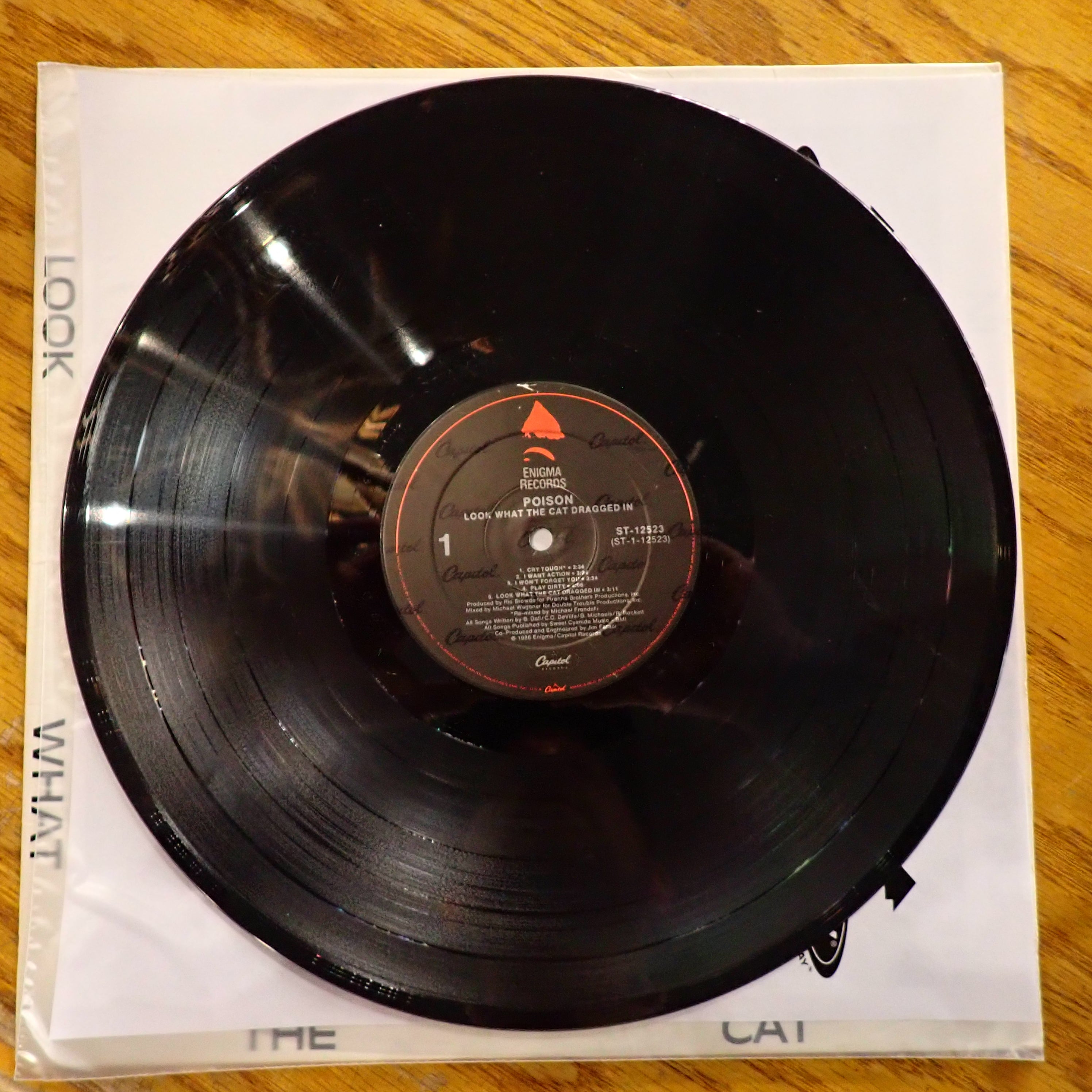 Poison - Look What the Cat Dragged In – Infinity Flux