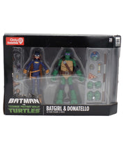 Batgirl & Donatello - TMNT Figure