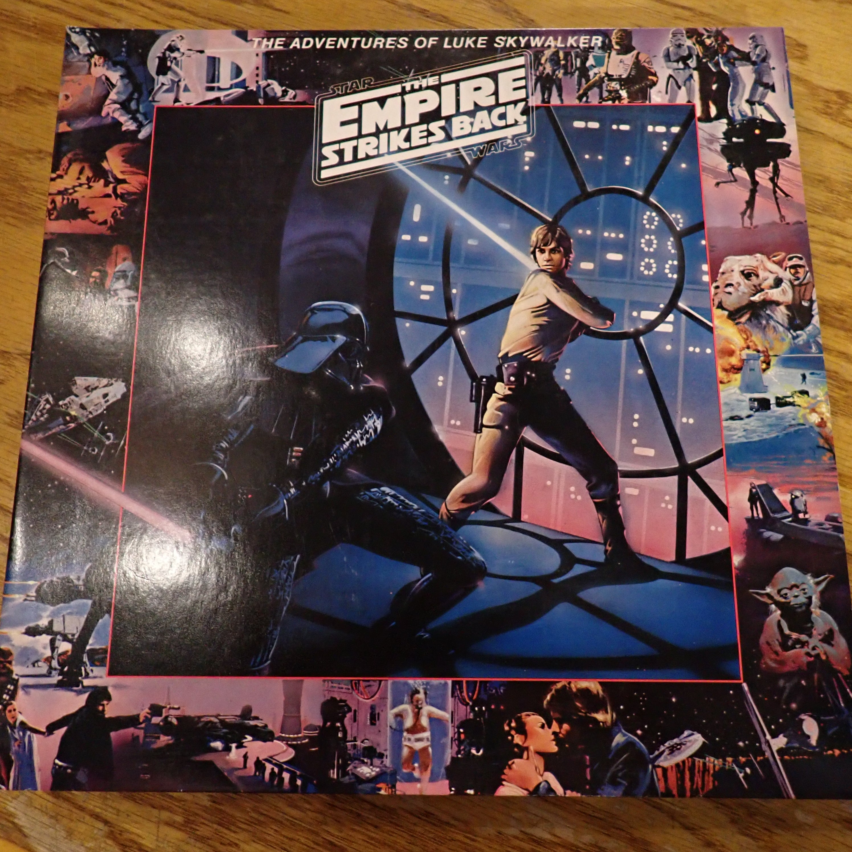 The Empire Strikes Back: The Adventures Of Luke Skywalker