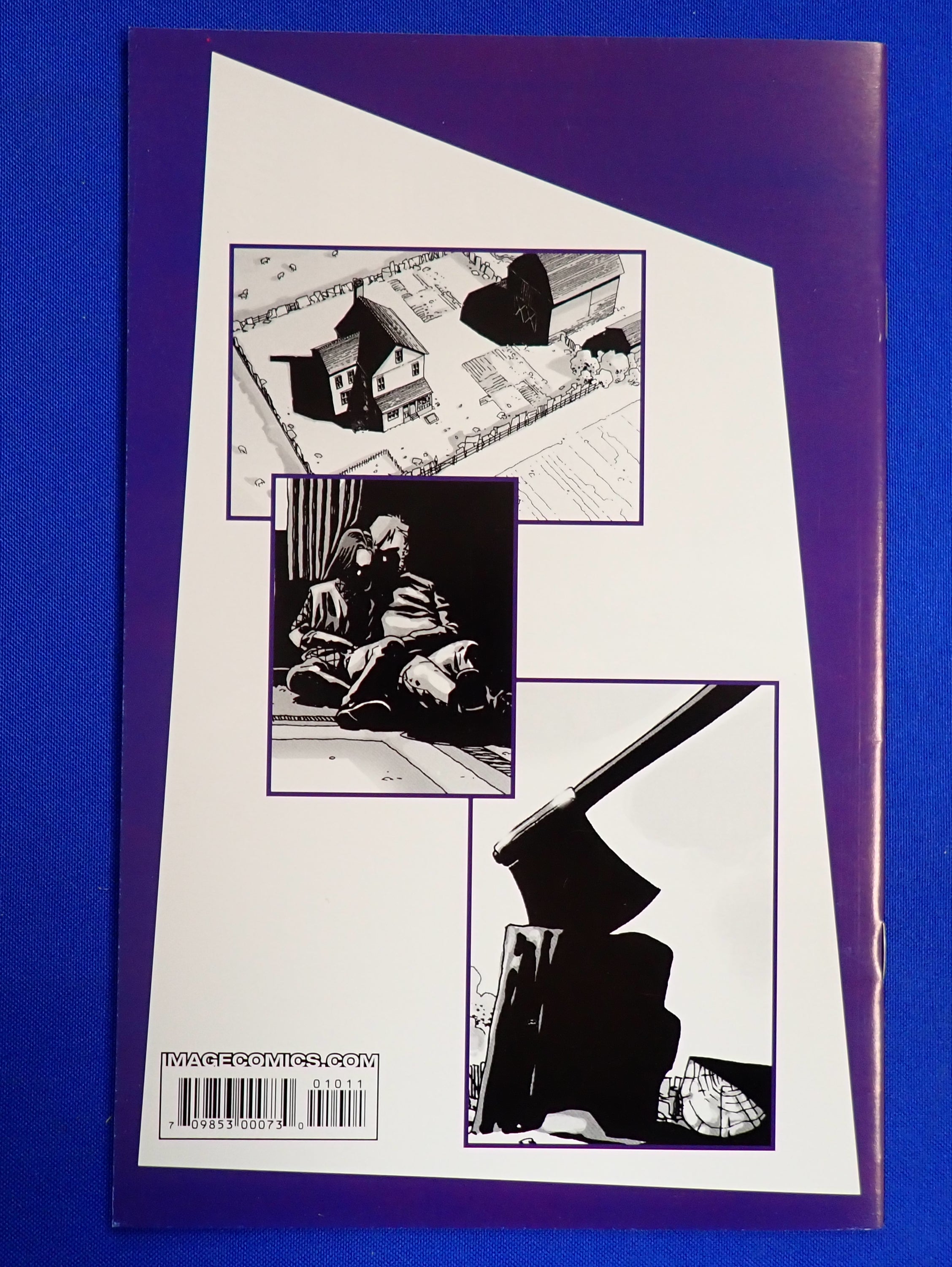 Walking Dead #10 (2004) - VF/NM (9.0)+ - 1st Hershel, Maggie, Lacey