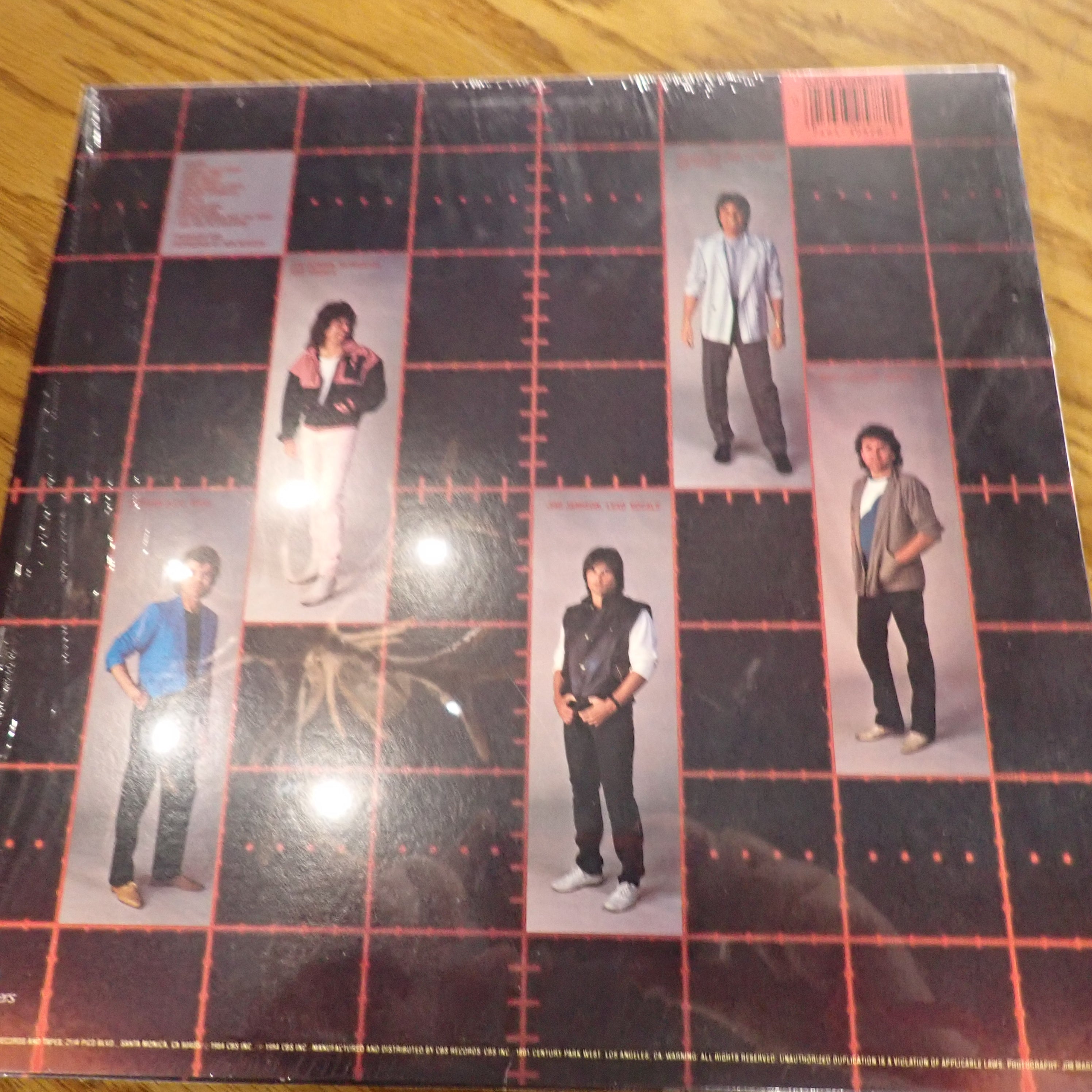Survivor – Vital Signs