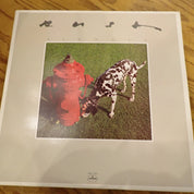 Rush – Signals